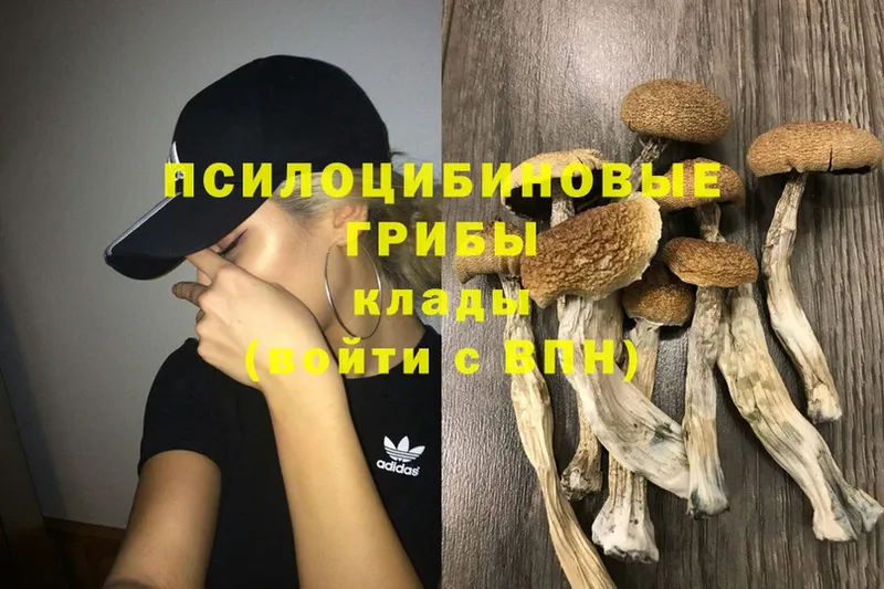 Галлюциногенные грибы Psilocybine cubensis  маркетплейс клад  Грозный 