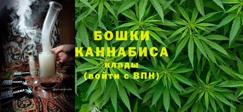 Шишки марихуана OG Kush  Грозный 